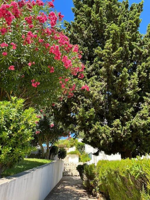 Апартаменты Casa Oliveira - Algarve Поршеш Экстерьер фото