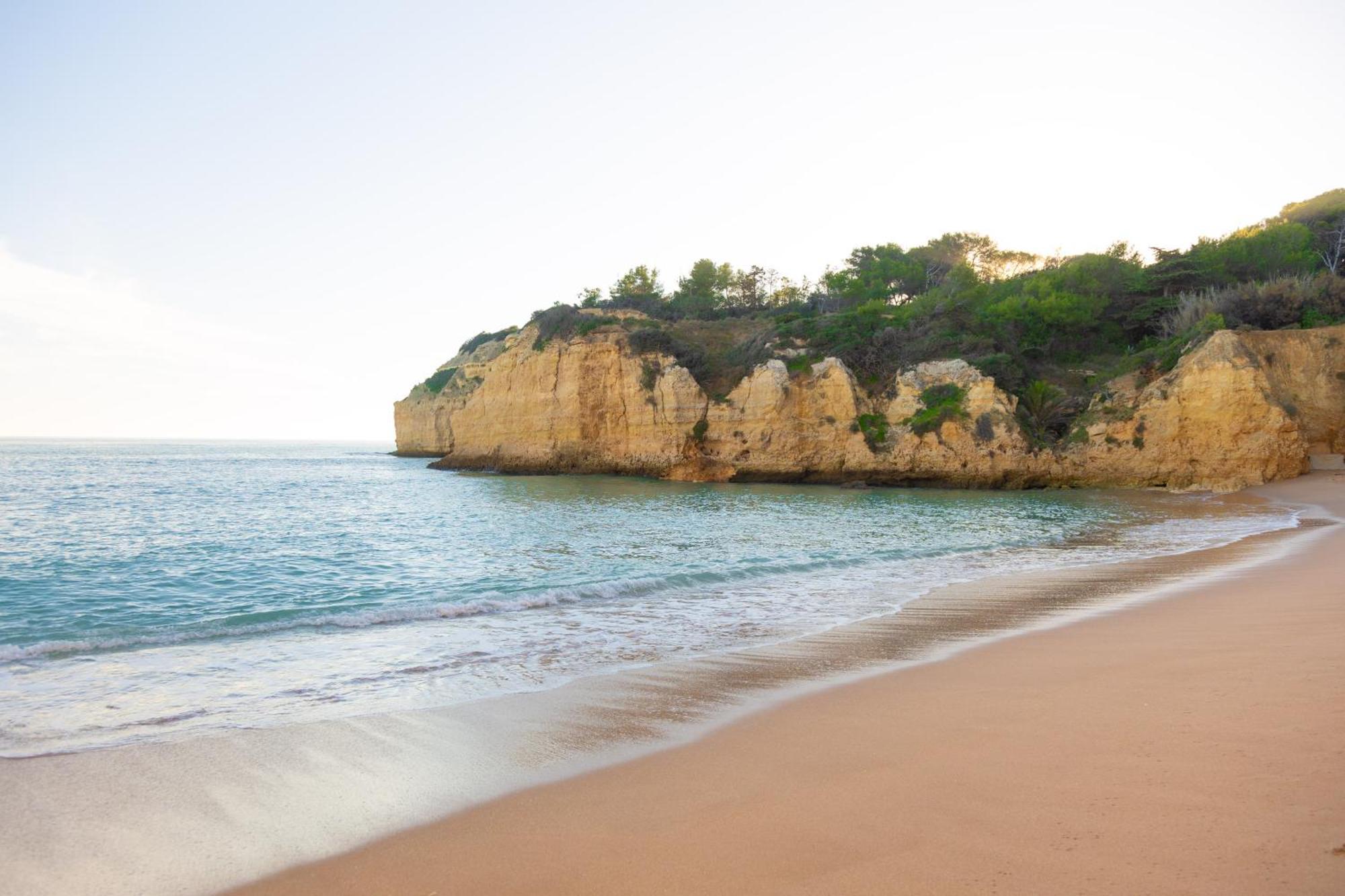 Апартаменты Casa Oliveira - Algarve Поршеш Экстерьер фото