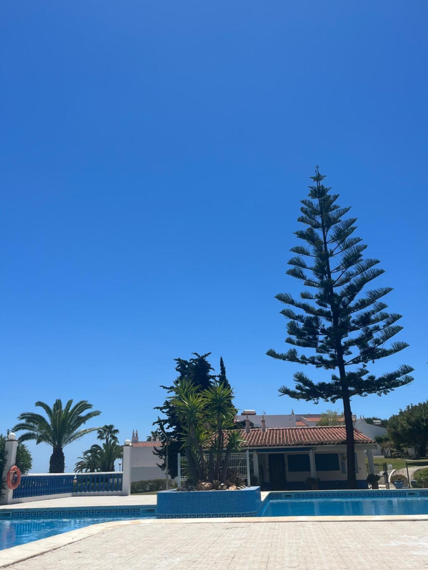 Апартаменты Casa Oliveira - Algarve Поршеш Экстерьер фото